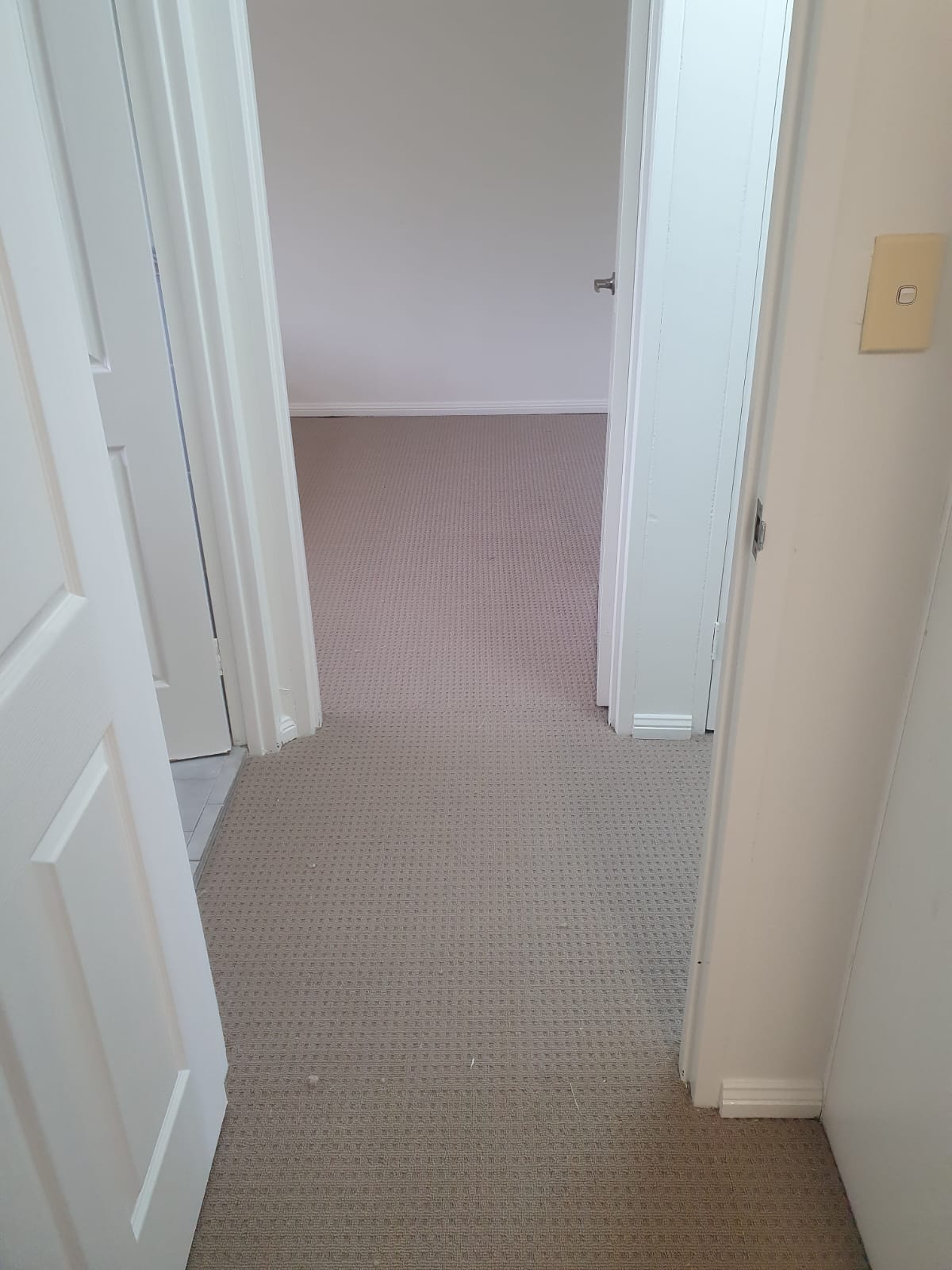 Apartment Carpet Installation